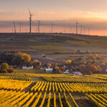 Die Weinberge mit Windrade in der Ferne [Karsten Würth ,Unsplash]