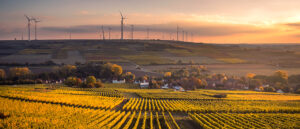 Die Weinberge mit Windrade in der Ferne [Karsten Würth ,Unsplash]