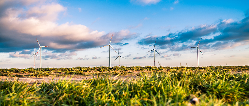 Windrade - grasbewachsenes Feld im Vordergrund [Karsten Würth ,Unsplash]