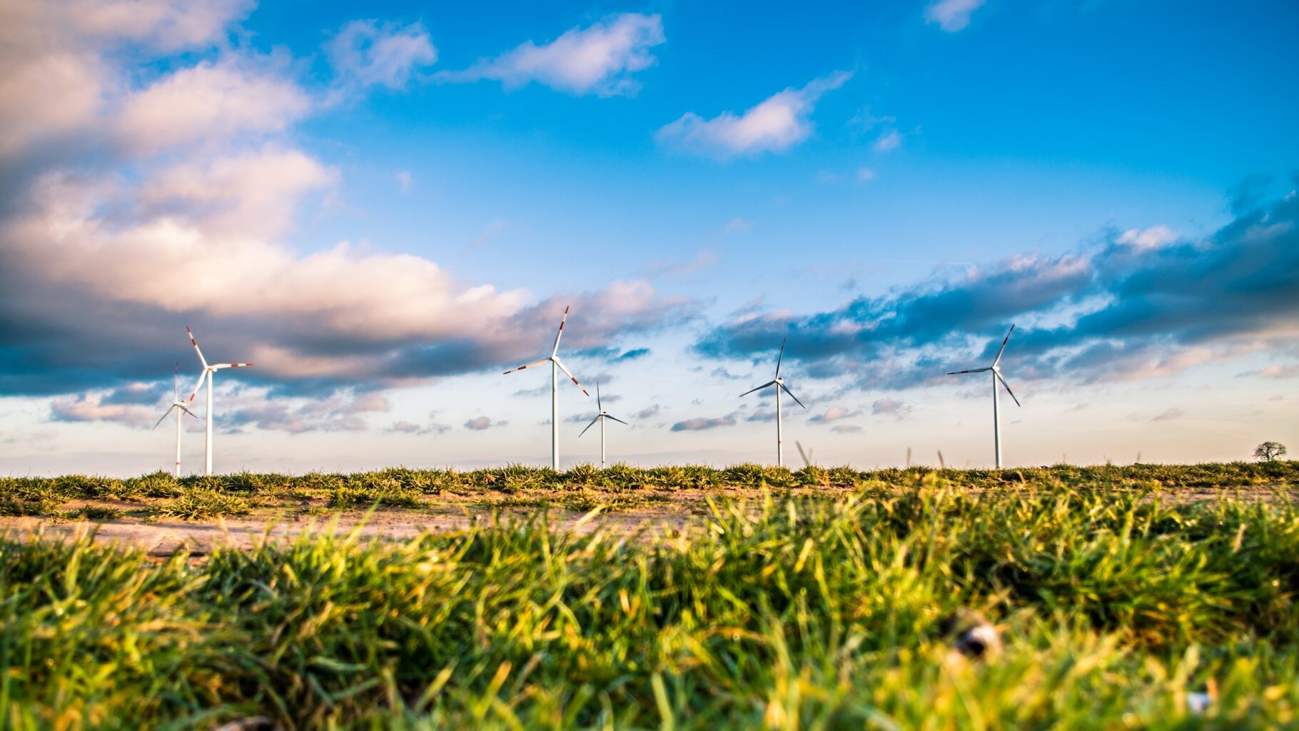 Windrade - grasbewachsenes Feld im Vordergrund [Karsten Würth ,Unsplash]